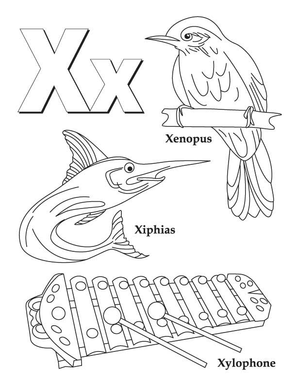 612x792 Xylophone Coloring Page Many Interesting Cliparts