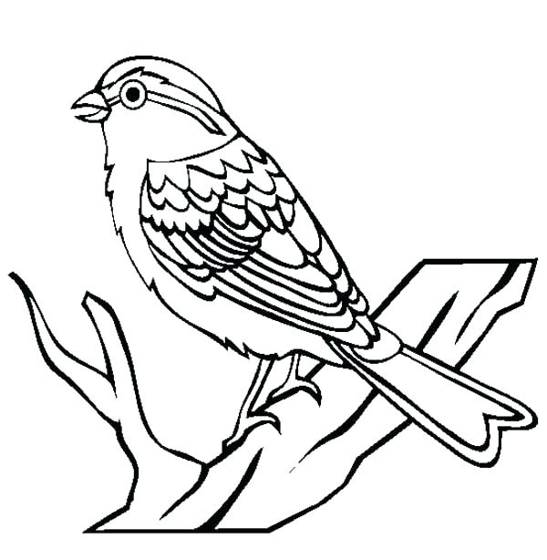Yellow Bird Coloring Pages at GetColorings.com | Free printable ...