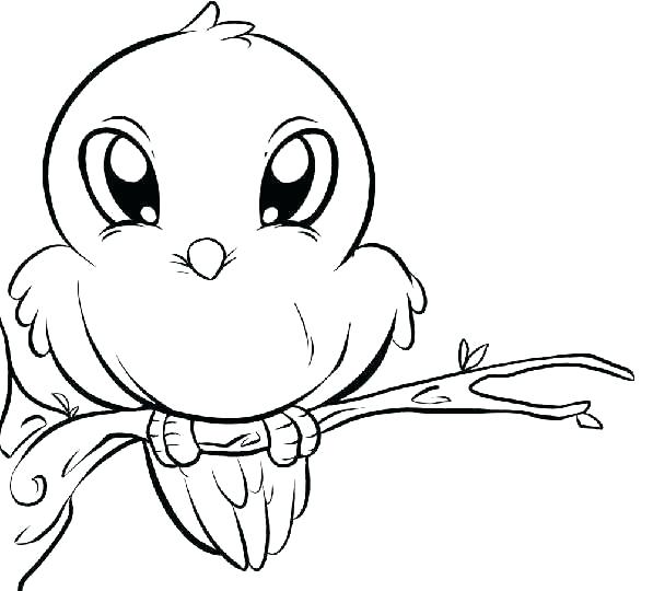 Angry Birds Coloring Angry Birds Coloring Books 4 Yellow Bird 597x540 Angry Birds Coloring Angry Birds Coloring Books 4 Yellow Bird