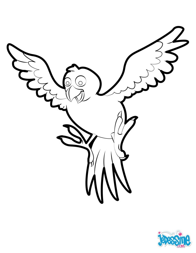 Tropical Bird Coloring Pages 820x1060 Tropical Bird Coloring Pages