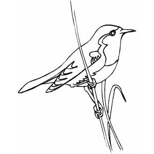 Picture Coloring Book Coloring Pages 300x300 Picture Coloring Book Coloring Pages