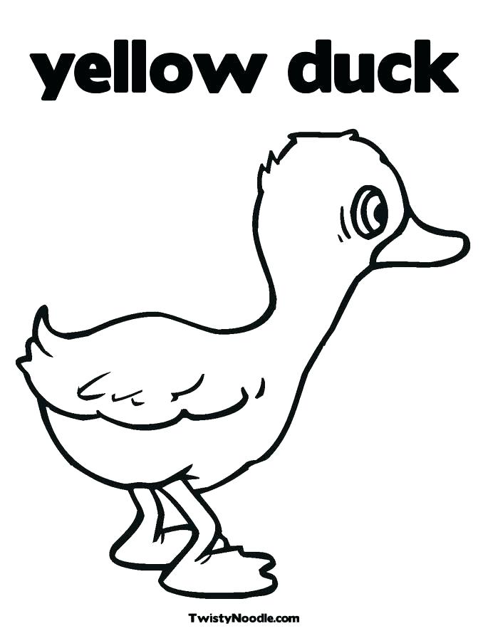 Yellow Color In Baby Eyes Jacket Coloring Page For Kids 685x886 Yellow Color In Baby Eyes Jacket Coloring Page For Kids