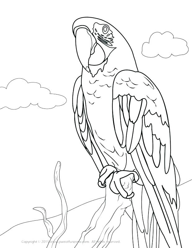 618x800 Virtue Flower Yellow Submarine Coloring Pages Lab Puppy