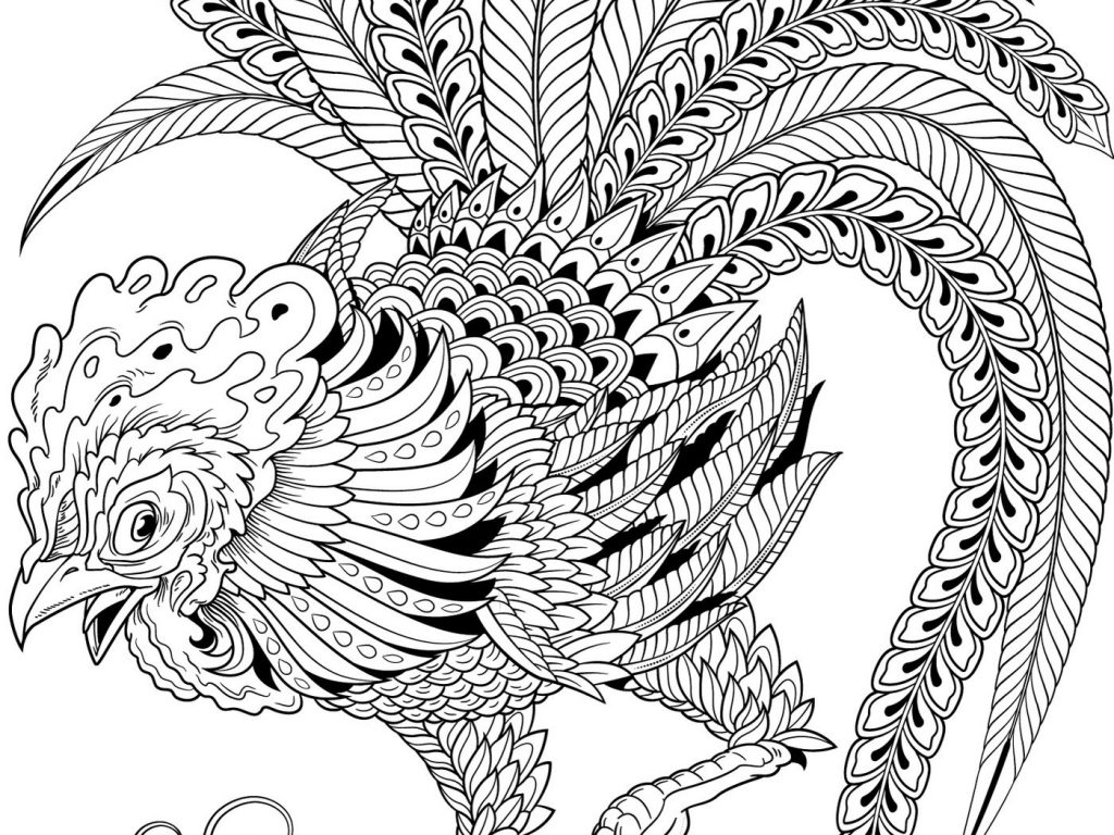 1024x768 Cicada Coloring Pages Disney The Princess And Frog Page For Kids