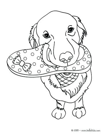 363x470 Yellow Lab Coloring Pages Yellow Lab Puppy Coloring Pages