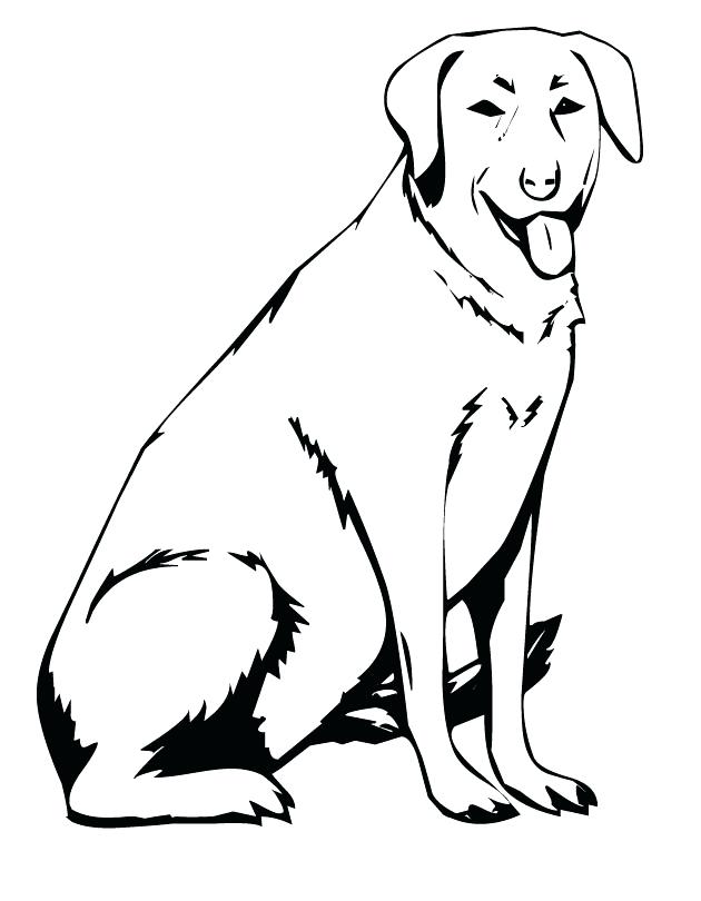 630x810 Coloring Labrador Retriever Coloring Pages Realistic Lab Dog