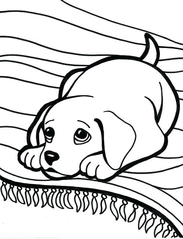 600x783 Labrador Coloring Pages Labrador Coloring Pages Labrador Retriever