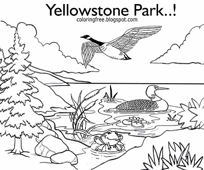 400x333 Lovely Yellowstone National Park Coloring Pages Ideas Diy
