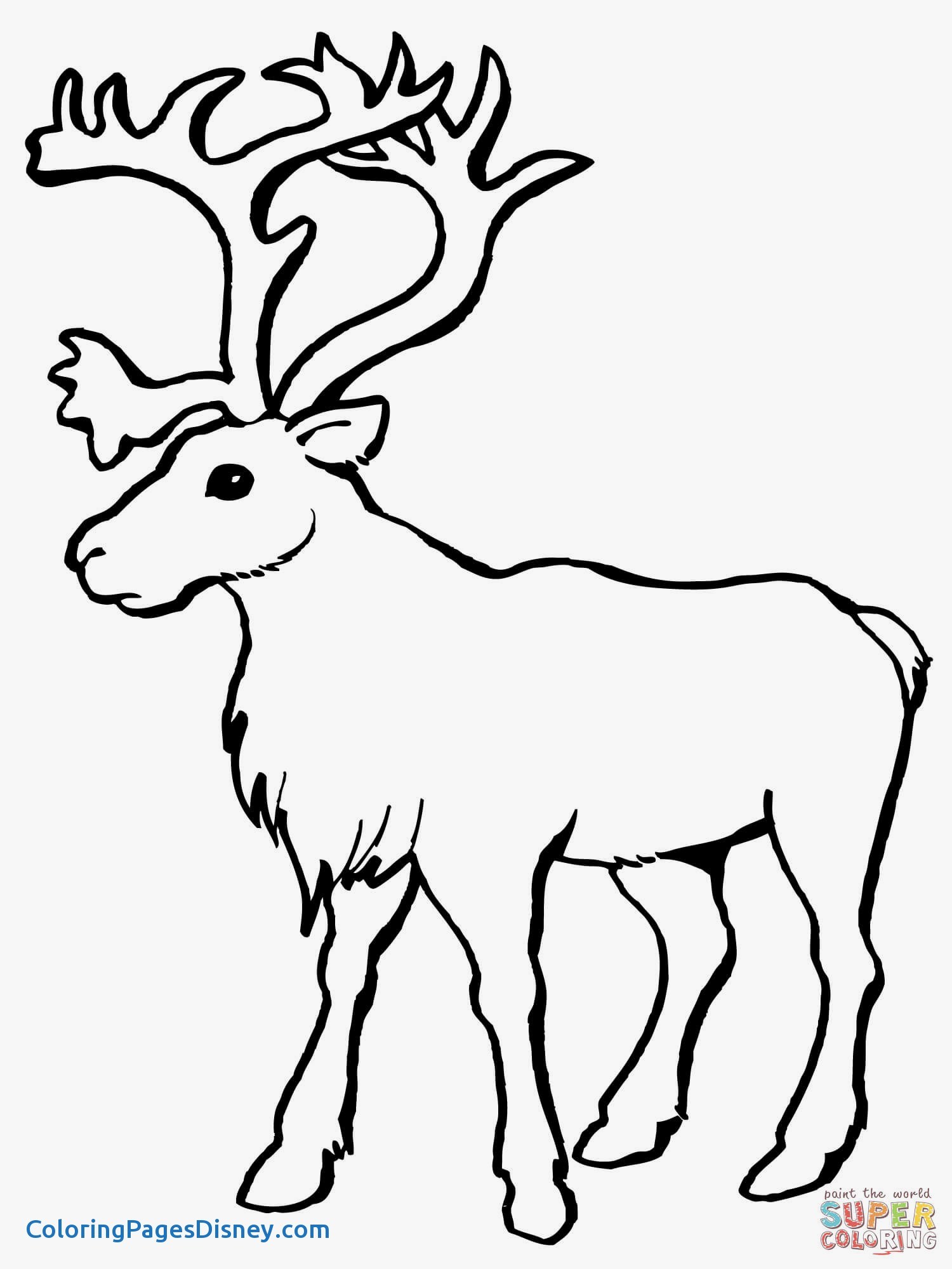 1500x2000 Caribou Coloring Pages Unique Coloring Book Yellowstone National