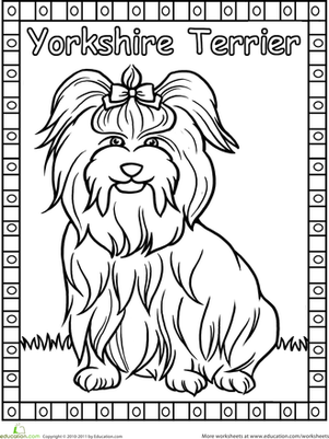 301x401 Yorkie Worksheet