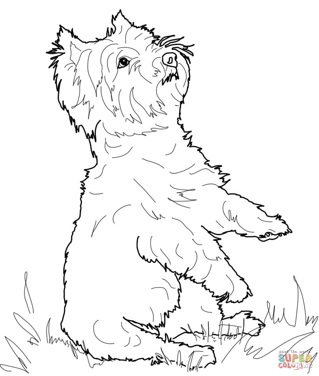 1083x1279 Yorkshire Terrier Or Yorkie Coloring Page Free Printable