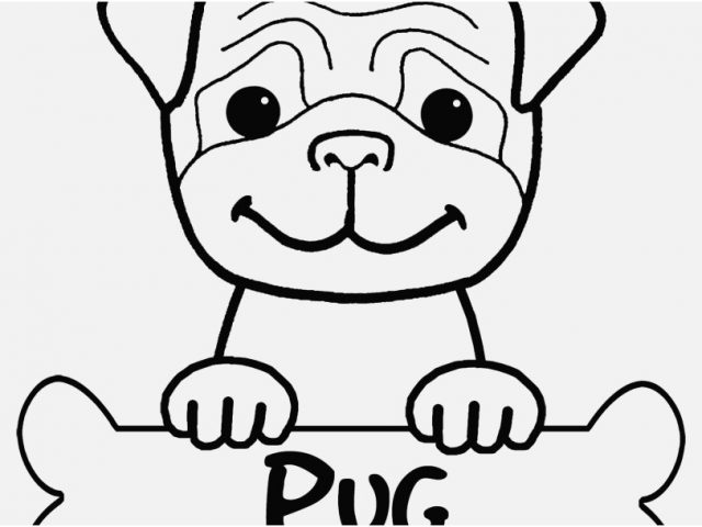 640x480 Yorkie Coloring Pages Printable Footage Cute Puppy Coloring Pages
