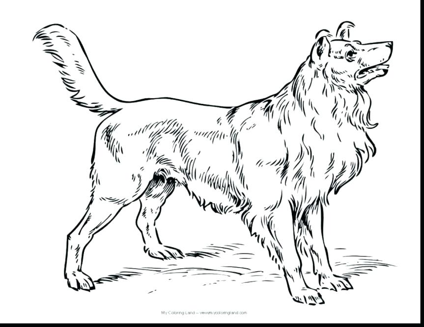 863x667 Yorkie Coloring Pages Wonderful Real Dog Coloring Pages
