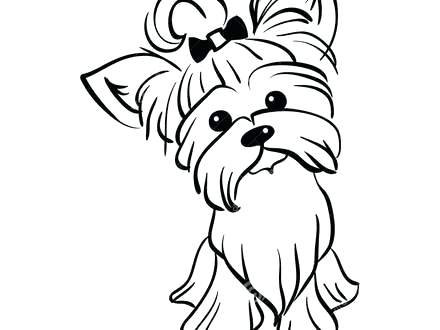 440x330 Yorkie Coloring Pages Yorkie Colouring Pages