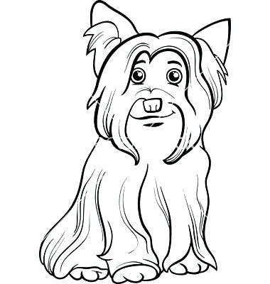 380x400 Yorkie Dog Coloring Pages Yorkie Coloring Pages Markhollandco Www