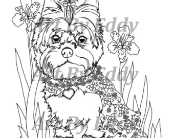 340x270 Yorkie Coloring Book Etsy