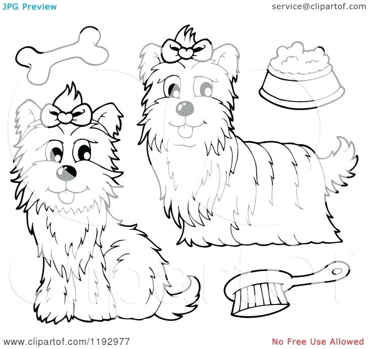 728x690 Coloring Pages With Free Coloring Pages Of Puppy Teacup Yorkie