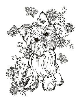 Yorkie Terrier Por Cindy Elsharouni Coloring Pages 270x350 Yorkie Terrier Por Cindy Elsharouni Coloring Pages