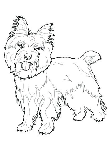 Coloring Yorkshire Terrier Coloring Pages Page Free Of Puppy 360x480 Coloring Yorkshire Terrier Coloring Pages Page Free Of Puppy