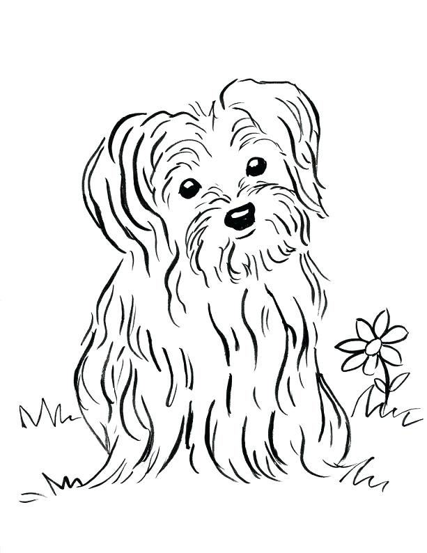 Coloring Sheet Coloring Sheet Puppy Coloring Page Bell Pages 613x794 Coloring Sheet Coloring Sheet Puppy Coloring Page Bell Pages