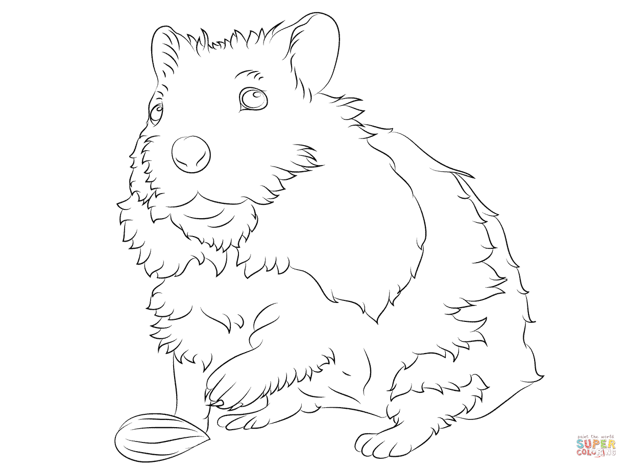 Coloring Hamster 1228x916 Coloring Hamster
