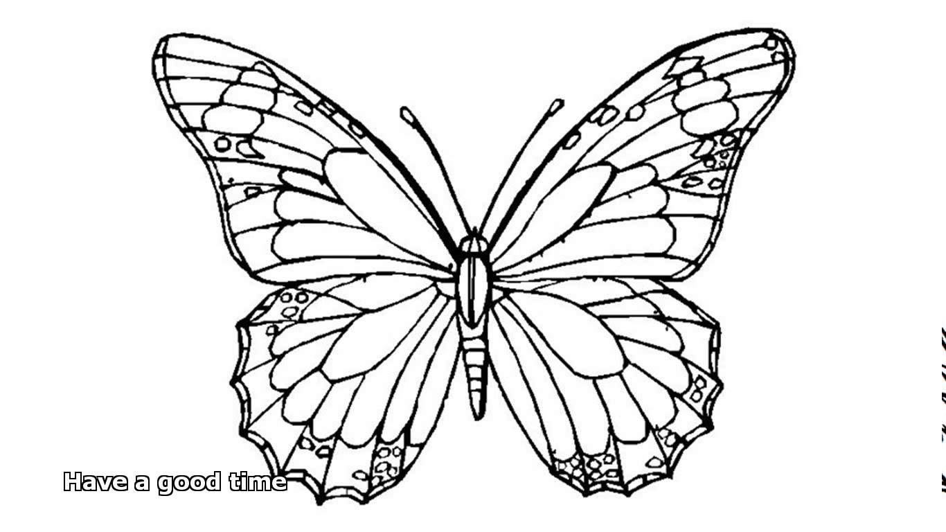 Butterfly Coloring Pages 1366x768 Butterfly Coloring Pages