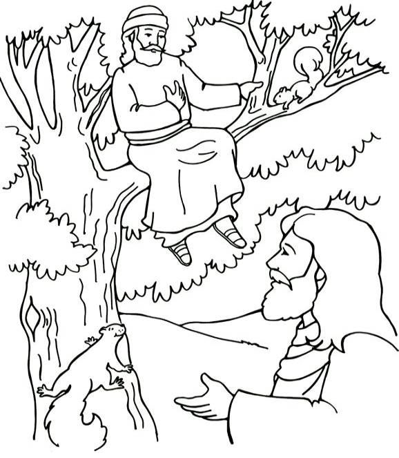 Zacchaeus Coloring Page 578x663 Zacchaeus Coloring Page