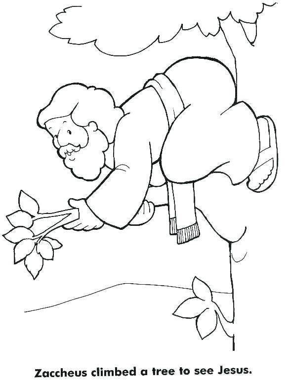 Zacchaeus Coloring Page Commandments Worksheets For Preschoolers 591x777 Zacchaeus Coloring Page Commandments Worksheets For Preschoolers