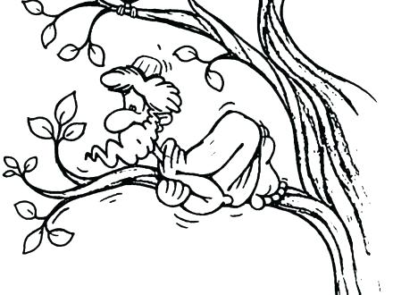 Zacchaeus Coloring Page Medium Size Of Coloring Page Sycamore Tree 440x330 Zacchaeus Coloring Page Medium Size Of Coloring Page Sycamore Tree