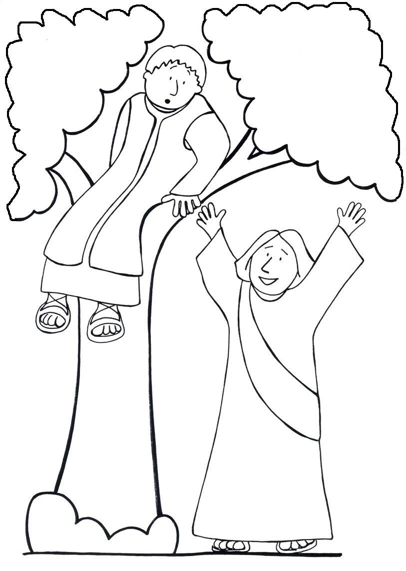 Zacchaeus Free Coloring Pages 813x1144 Zacchaeus Free Coloring Pages