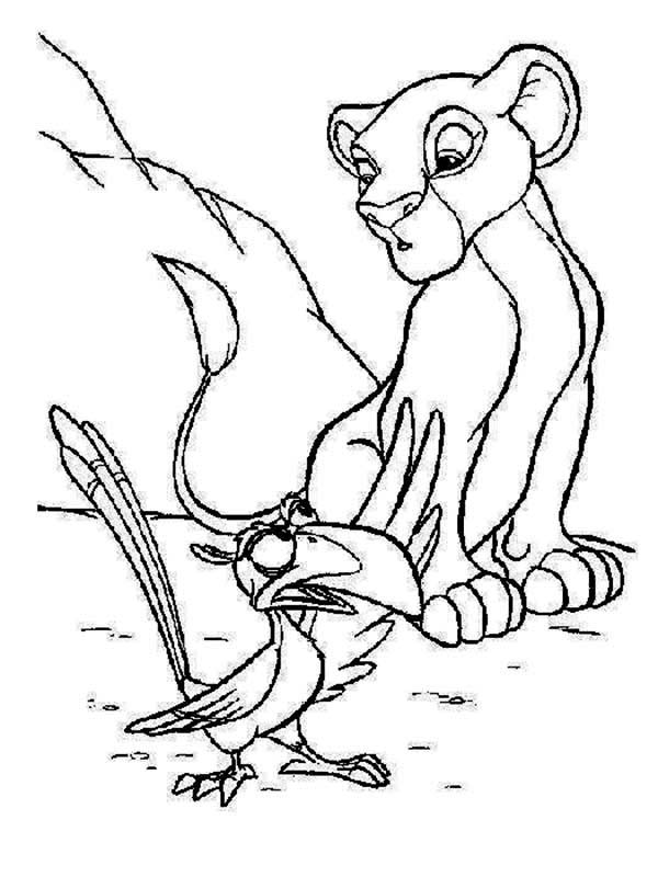 Amazing Simba And Zazu Coloring Page 600x800 Amazing Simba And Zazu Coloring Page