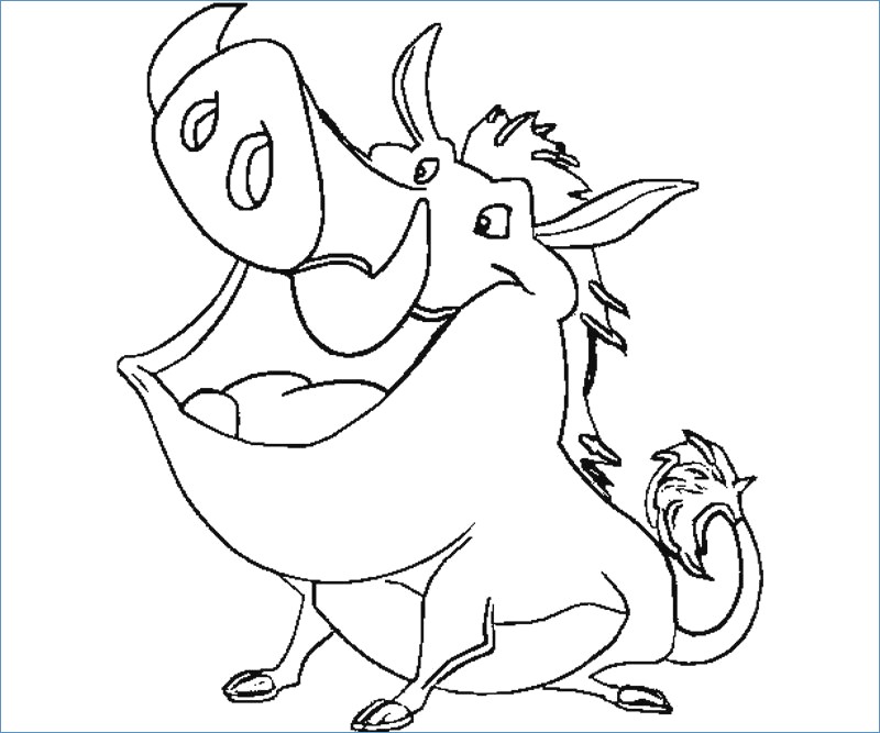 Timon Pumbaa And Zazu The Lion King Coloring Page 800x667 Timon Pumbaa And Zazu The Lion King Coloring Page