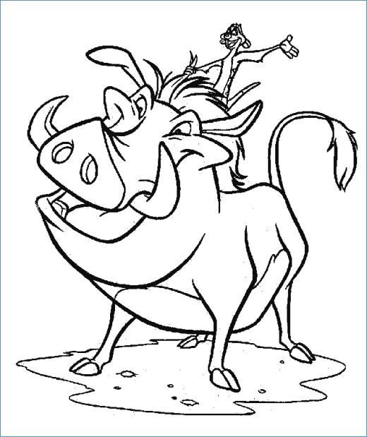520x619 Timon Pumbaa And Zazu The Lion King Coloring Page