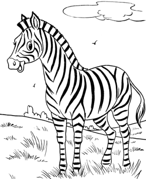 290x356 Happy Zebra Coloring Page Amp Coloring Book