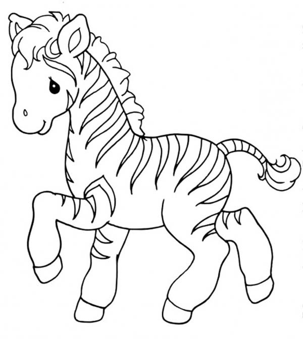 600x672 Sweet Little Zebra Coloring Page