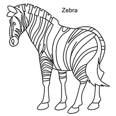 230x230 Top 20 Free Printable Zebra Coloring Pages Online