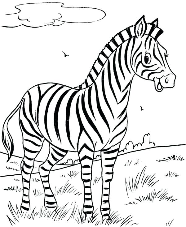 600x734 Zebra Color Page Drawn Zebra Colouring 8 Baby Zebra Coloring
