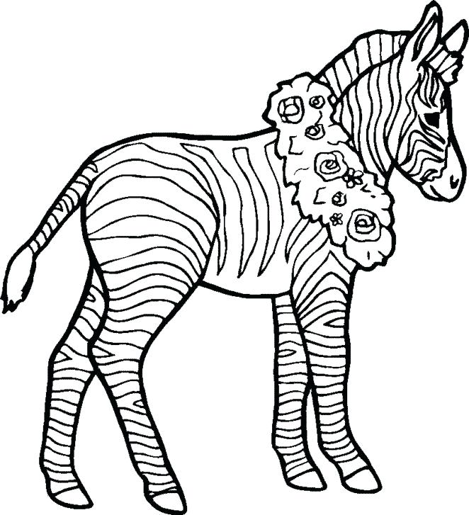 662x727 Zebra Coloring Pages Coloring Page Zebra Animals Printable