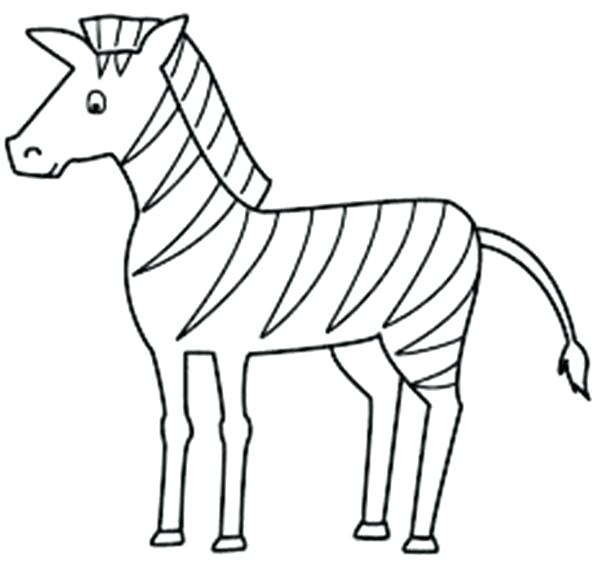 600x564 Zebra Coloring Sheet Zebra Coloring Pages For Toddler A Zebra
