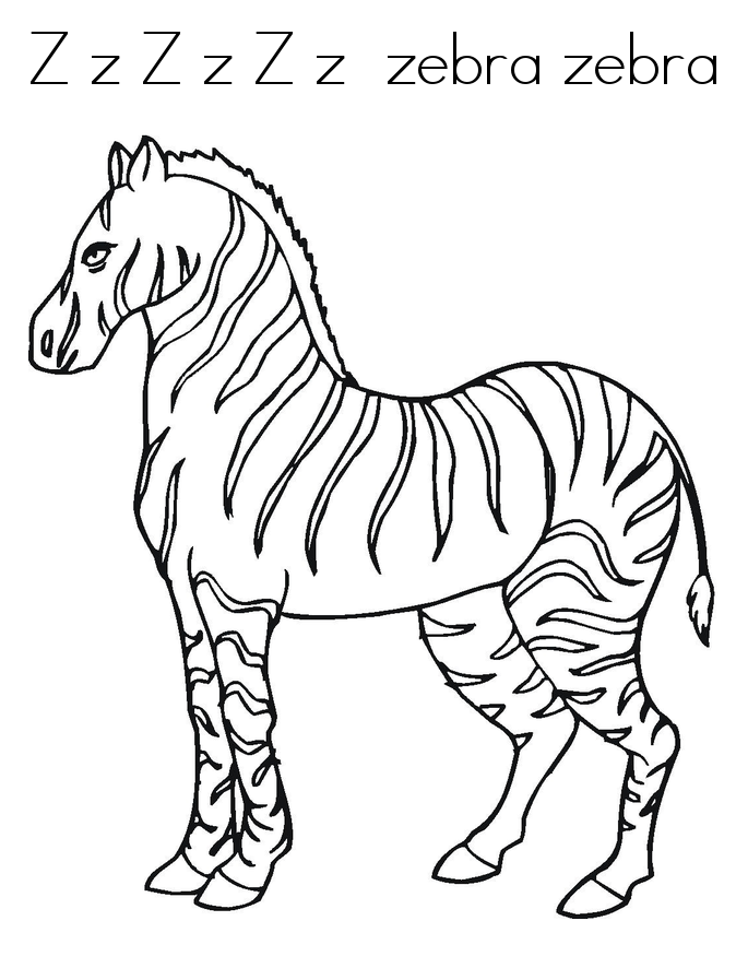 685x886 Free Printable Zebra Coloring Pages For Kids