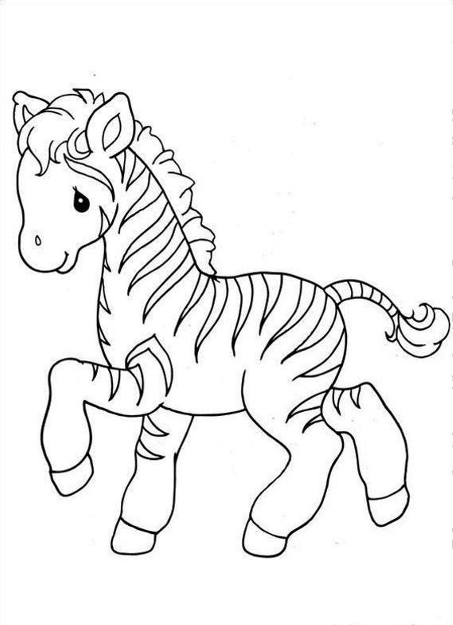 900x1240 Inspiring Idea Zebra Coloring Pages 2 To Print Printable For Kids