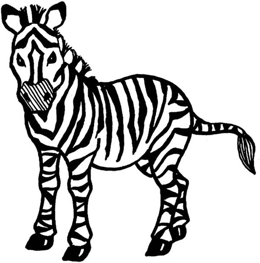 1050x1062 Sampler Zebra Picture To Color Nice Coloring Page Best Book Id