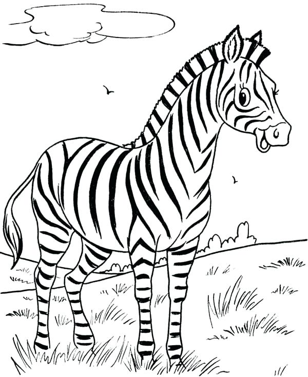 Zebra Coloring Pages For Kids at GetColorings.com | Free printable ...