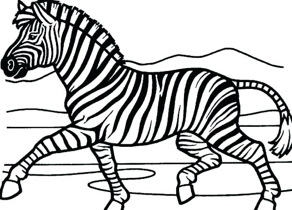 600x432 Zebra Printable Coloring Pages Special Zebra Coloring Page Free