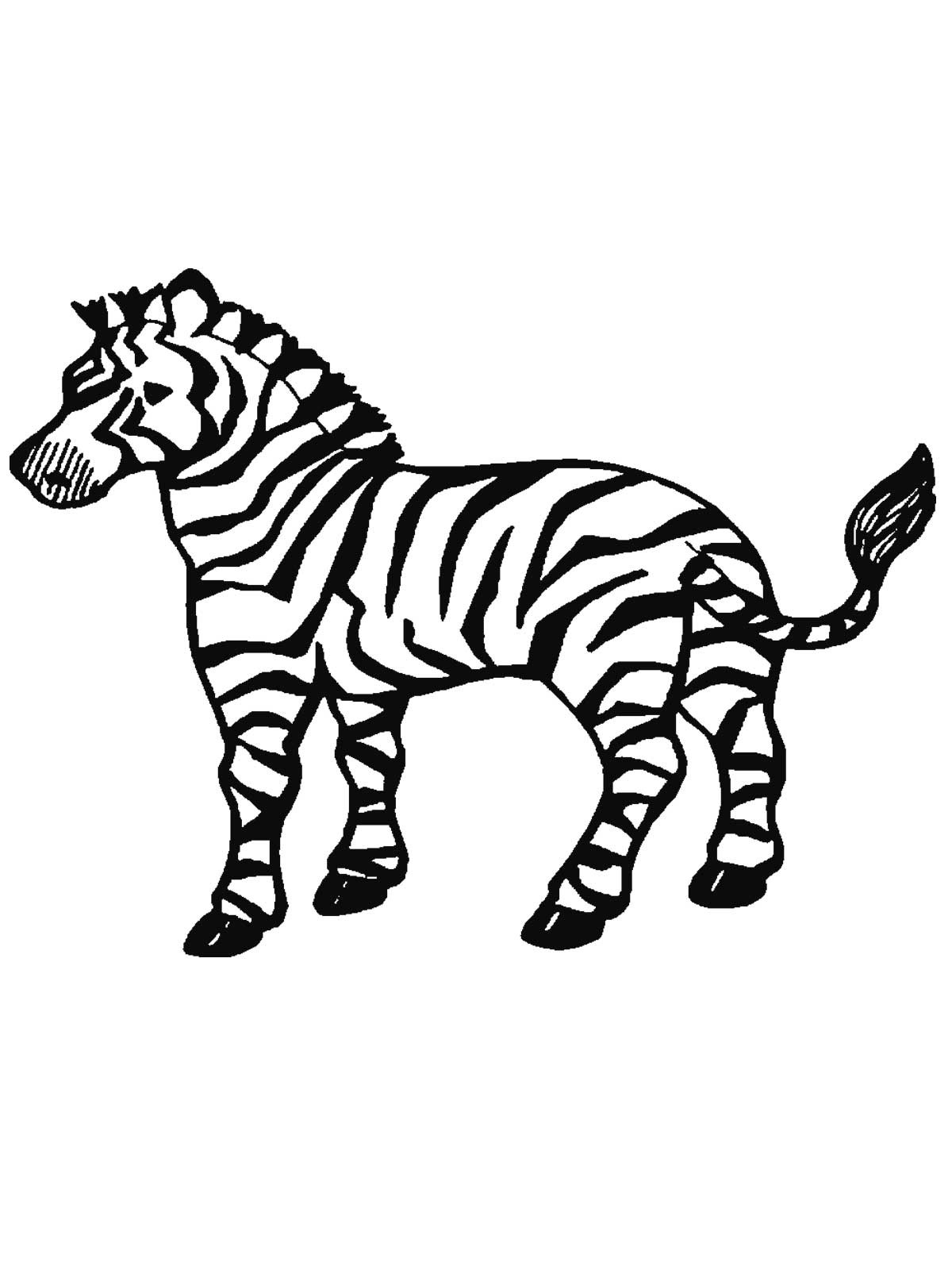 1200x1600 Coloring Pages Zebra Lovely Free Printable Zebra Coloring Pages