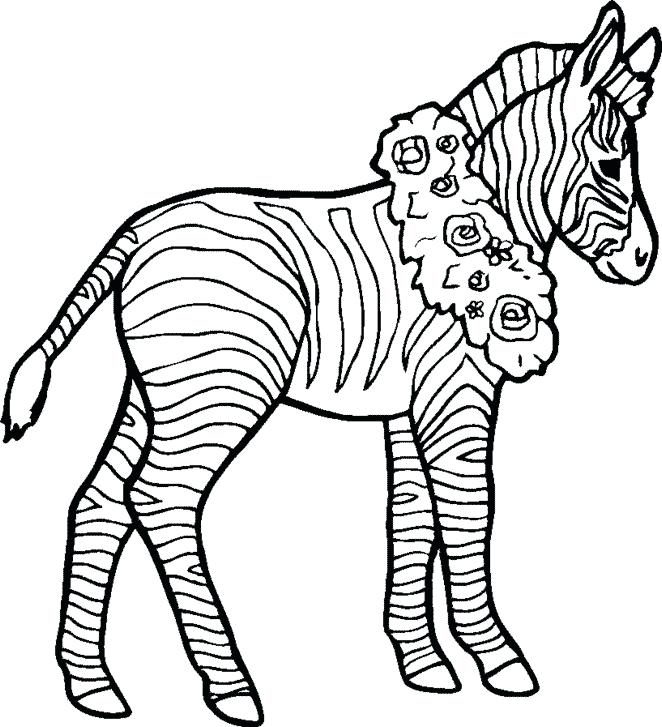Free Printable Zebra Coloring Sheets Kids Coloring Zebra Coloring 662x727 Free Printable Zebra Coloring Sheets Kids Coloring Zebra Coloring
