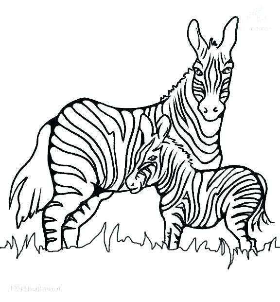 Animal Print Coloring Pages Jenonime Animal Print Coloring Pages 576x621 Animal Print Coloring Pages Jenonime Animal Print Coloring Pages