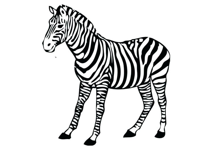 Zebra Coloring Pages Free Printable at GetColorings.com | Free ...