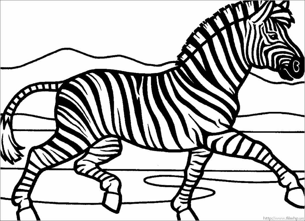 Zebra Coloring Pages Free Printable Free Coloring For Kids 2018 1058x768 Zebra Coloring Pages Free Printable Free Coloring For Kids 2018