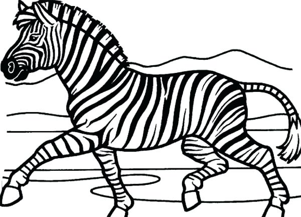 Zebra Coloring Pages Free Printable Mesmerizing Zebra Coloring 600x432 Zebra Coloring Pages Free Printable Mesmerizing Zebra Coloring